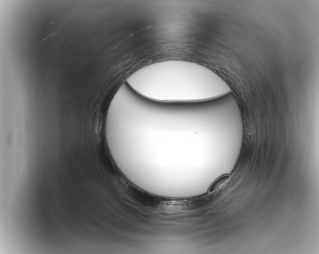 X0000093600082200710151005