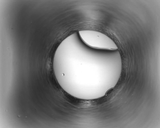 X0000093600083200710151005