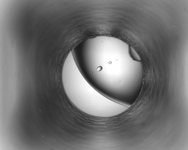 X0000093600084200710151005