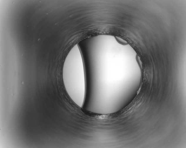 X0000093600092200710151006