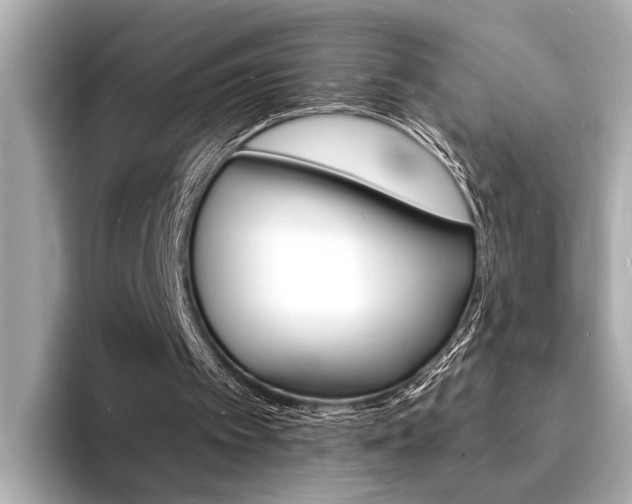 X0000093600097200710151005