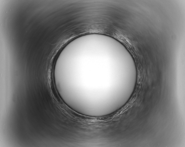 X0000093600098200710151005