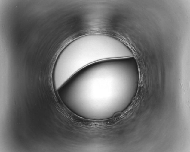X0000093600099200710151005