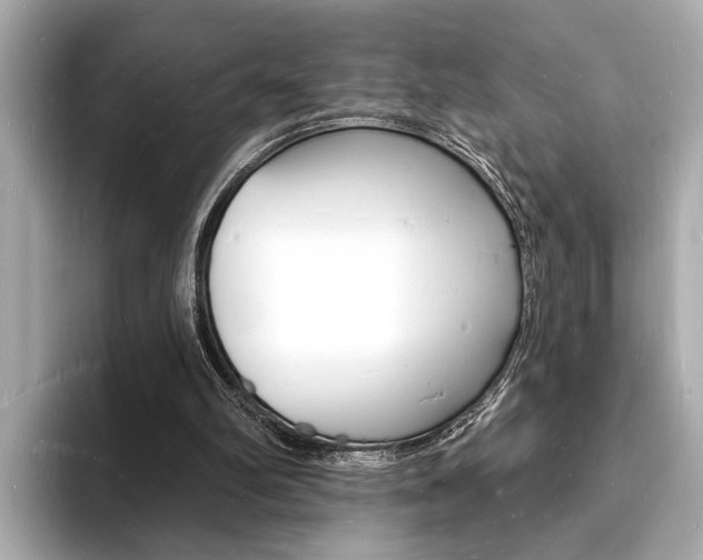 X0000093600102200710151005