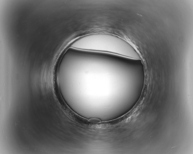 X0000093600103200710151005