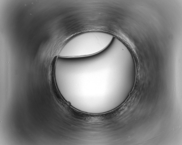 X0000093600107200710151005