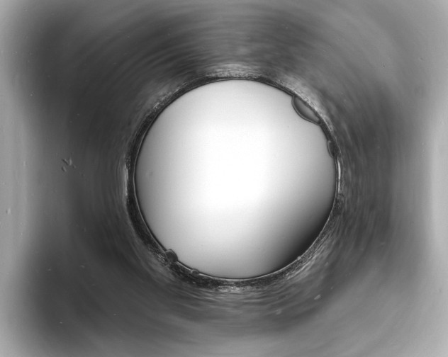 X0000093600109200710151005