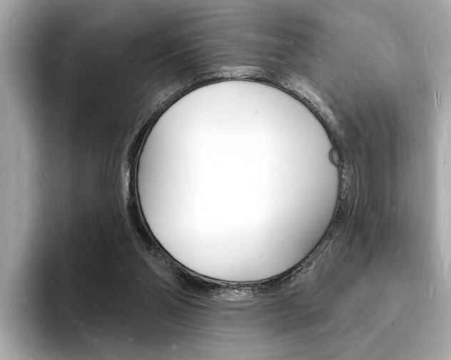 X0000093600110200710151005