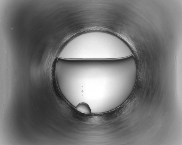 X0000093600111200710151005