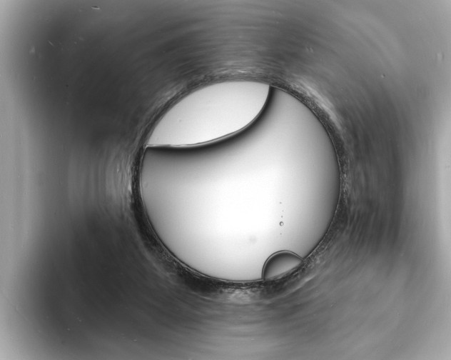 X0000093600115200710151005