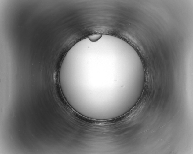 X0000093600117200710151005