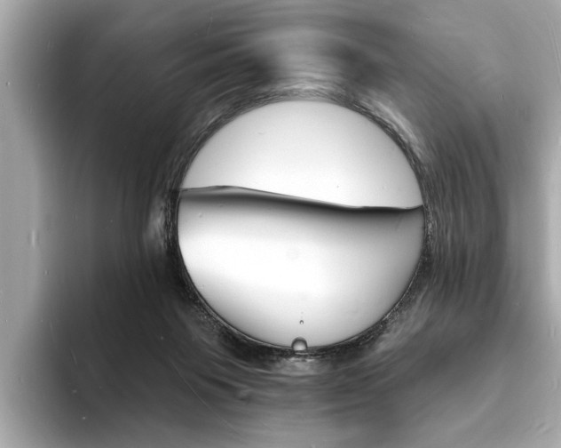 X0000093600119200710151005