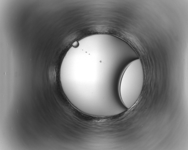 X0000093600120200710151005