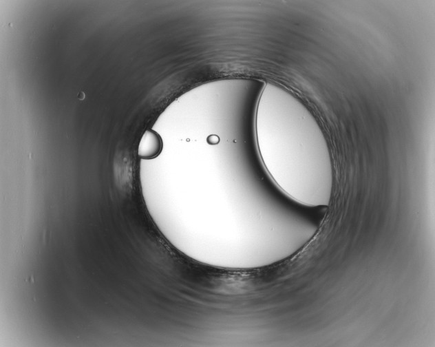 X0000093600124200710151005