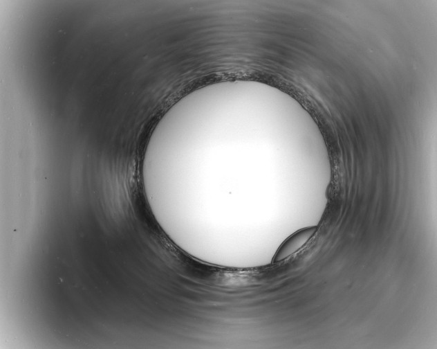 X0000093600134200710151004