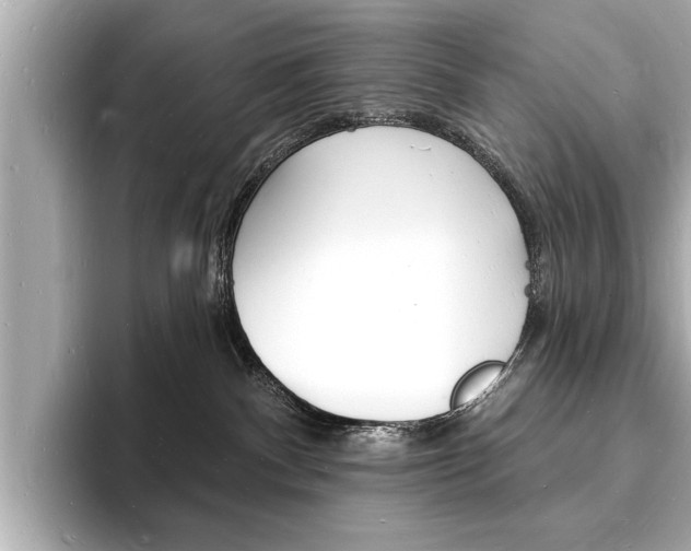 X0000093600140200710151004