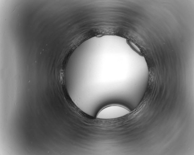 X0000093600141200710151004