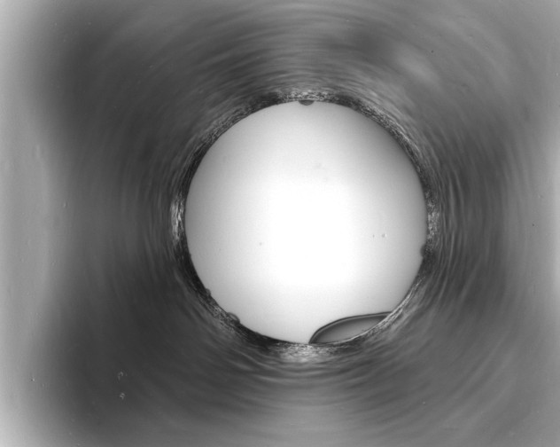 X0000093600142200710151004
