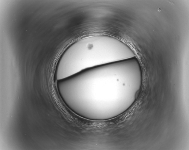 X0000093600145200710151004