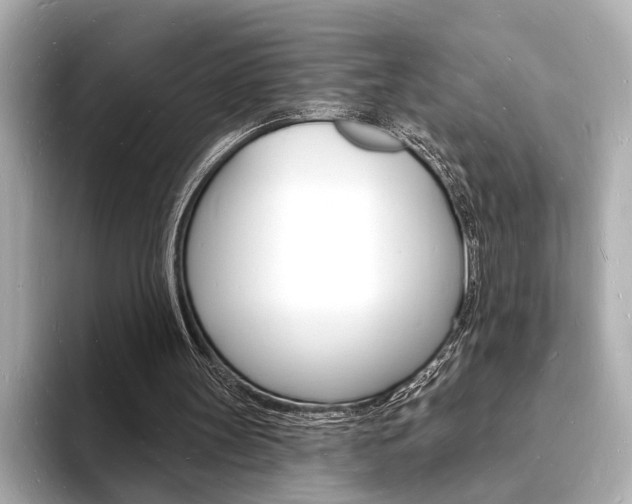 X0000093600147200710151004