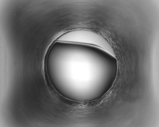 X0000093600148200710151004