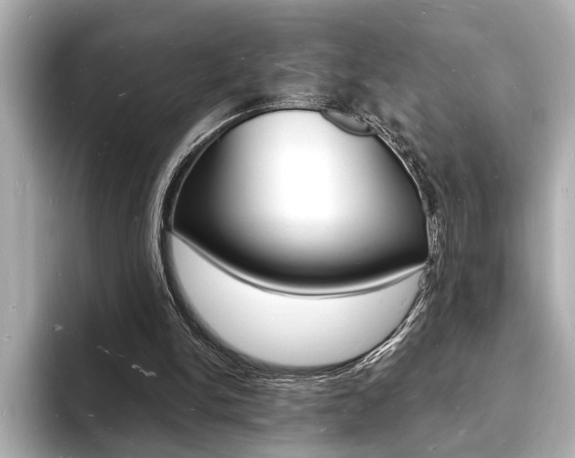 X0000093600150200710151004