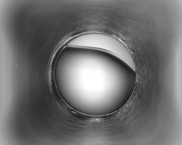 X0000093600152200710151004