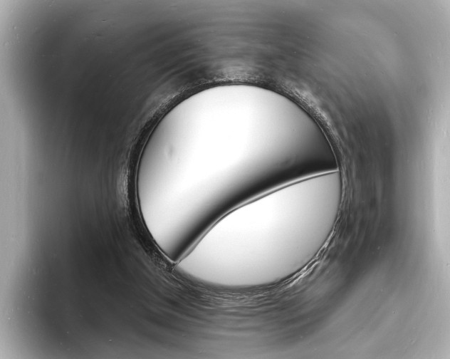 X0000093600154200710151004