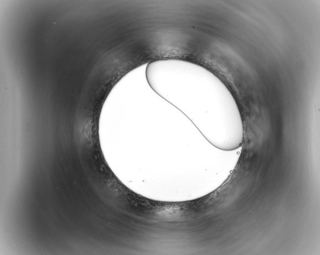 X0000093600162200710151004