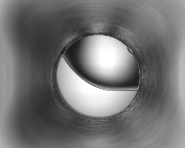 X0000093600164200710151004