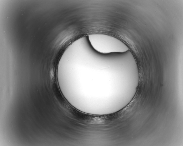 X0000093600166200710151004