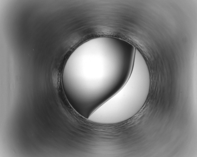 X0000093600168200710151004