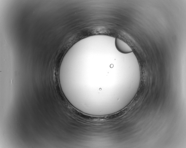 X0000093600169200710151004