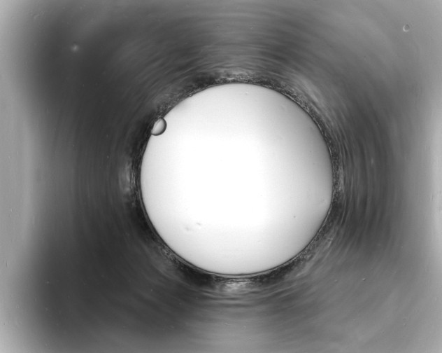 X0000093600173200710151004