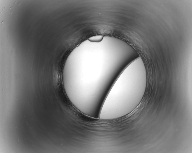 X0000093600176200710151004