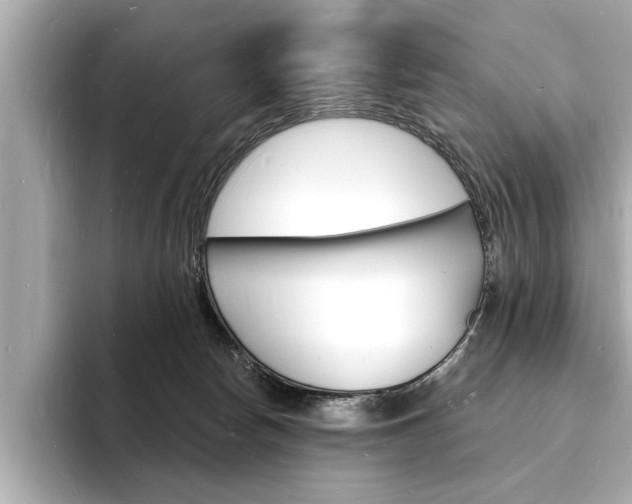 X0000093600178200710151004