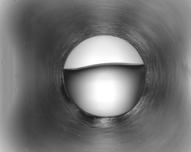 X0000093600184200710151004