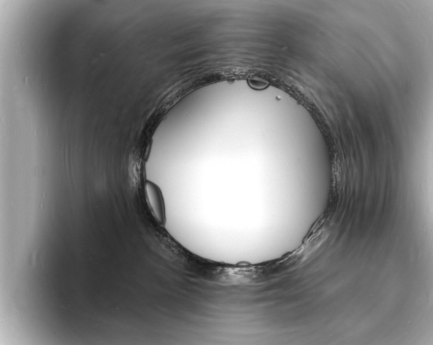 X0000093600188200710151004