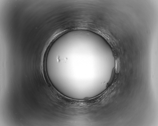 X0000093600195200710151004