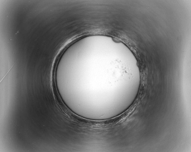 X0000093600196200710151004