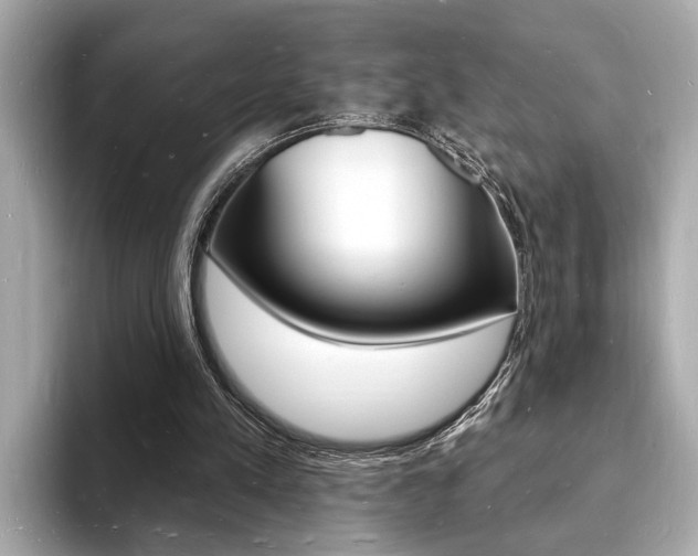 X0000093600197200710151004