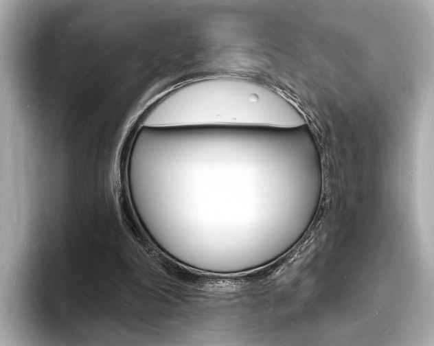 X0000093600198200710151004