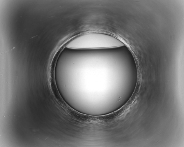 X0000093600199200710151004