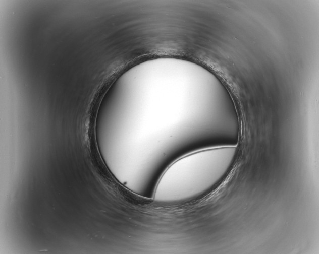 X0000093600201200710151004