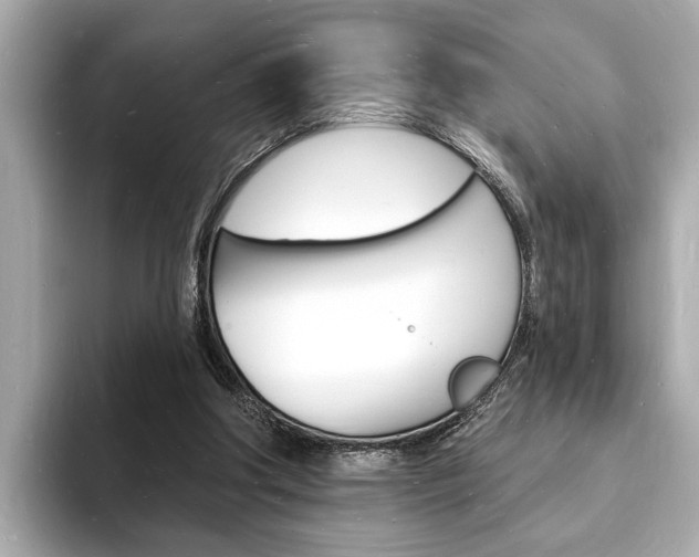 X0000093600202200710151004