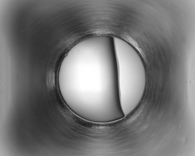 X0000093600205200710151004