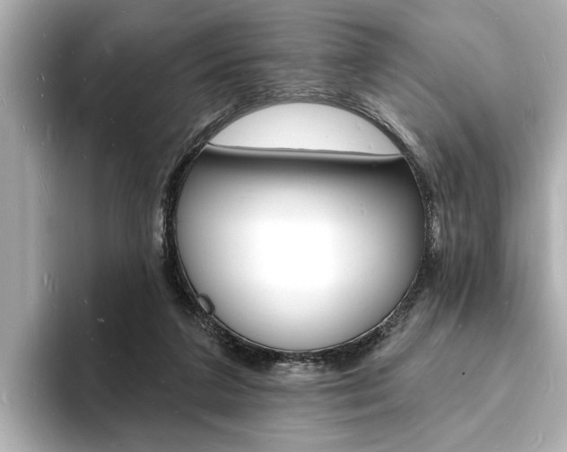 X0000093600211200710151004