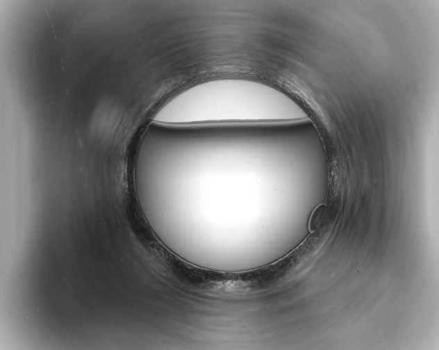 X0000093600212200710151004
