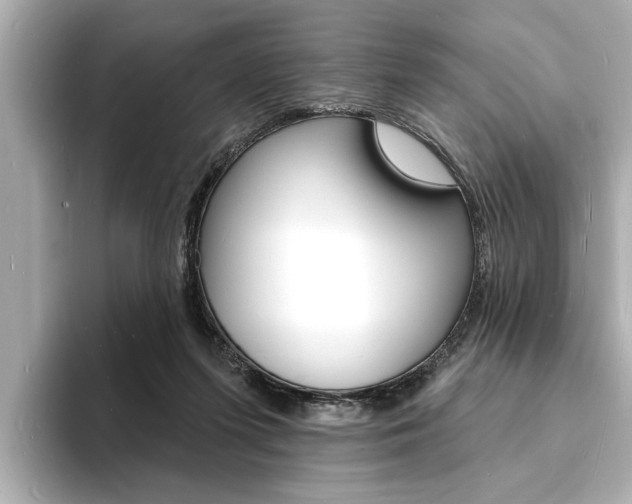 X0000093600215200710151004