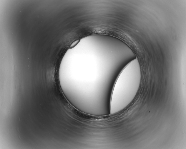 X0000093600217200710151003